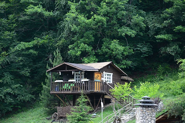 Rüya Ev