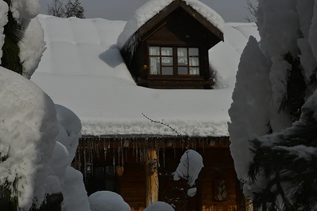 Doc's House