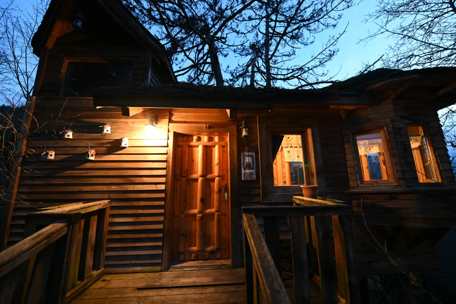 Ağaç Ev